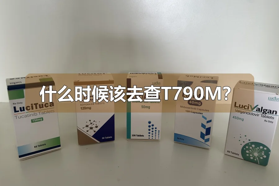 什么时候该去查T790M？